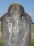 image of grave number 670213